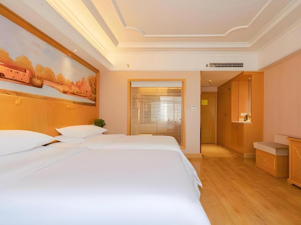 Vienna International Hotel Lhasa Potala Palace Extérieur photo