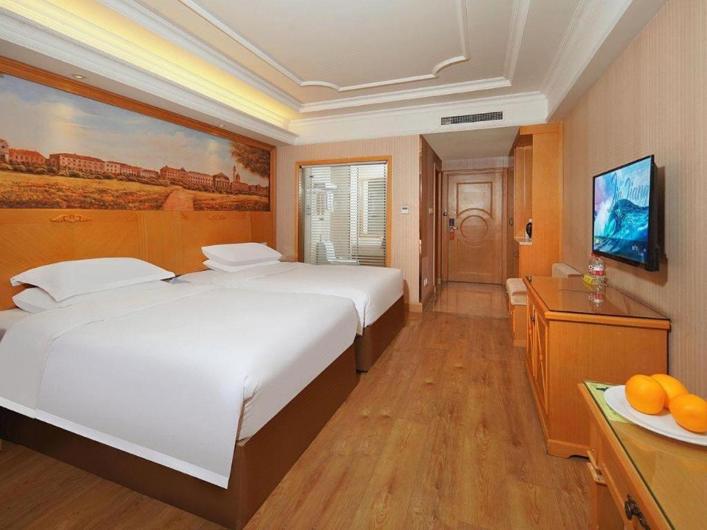 Vienna International Hotel Lhasa Potala Palace Extérieur photo