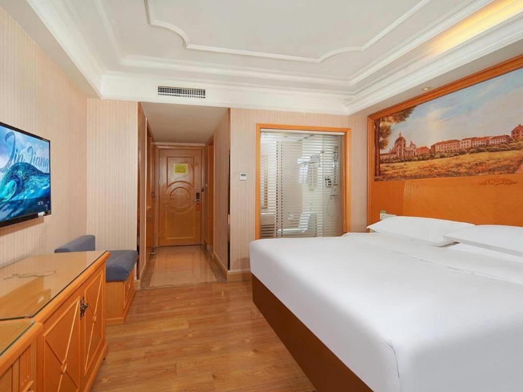 Vienna International Hotel Lhasa Potala Palace Extérieur photo