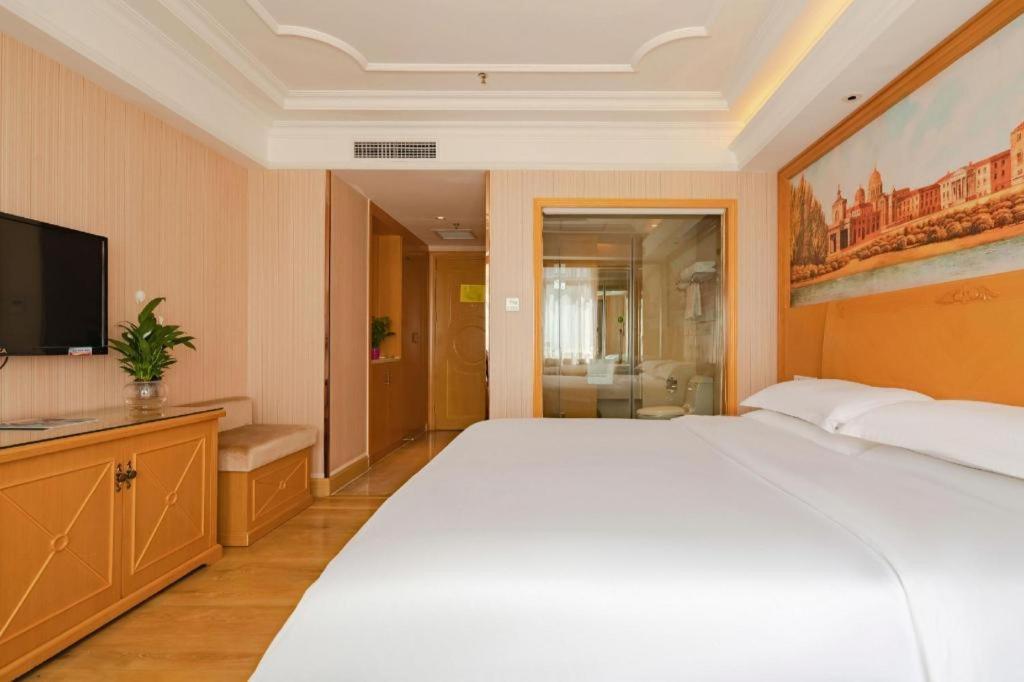Vienna International Hotel Lhasa Potala Palace Extérieur photo